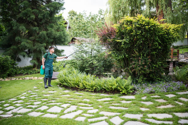 Best Wasp Removal Services  in Star Valley Ranch, WY