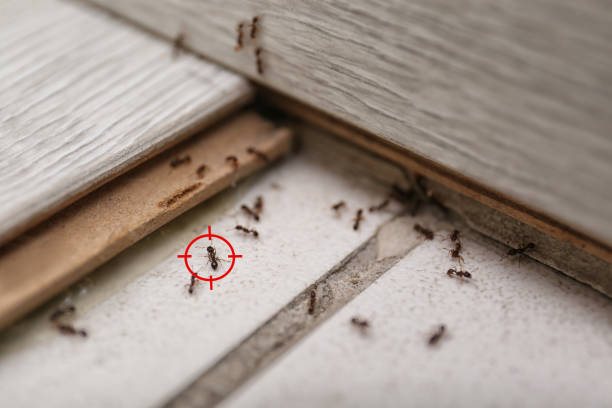 Pest Control for Restaurants in Star Valley Ranch, WY