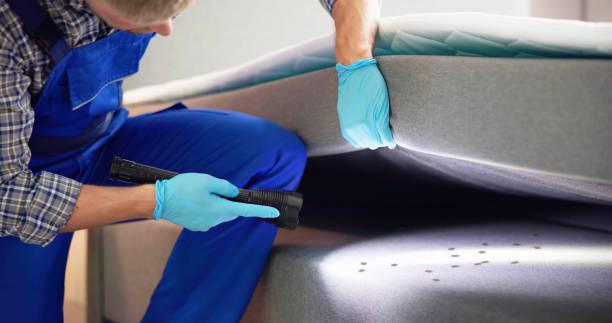 Flea Control Services in Star Valley Ranch, WY