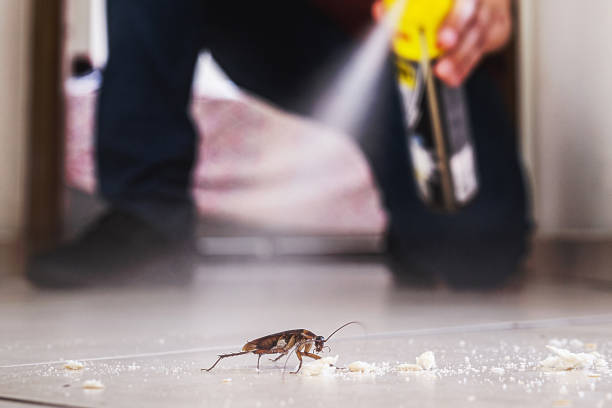 Professional Pest Control in Star Valley Ranch, WY