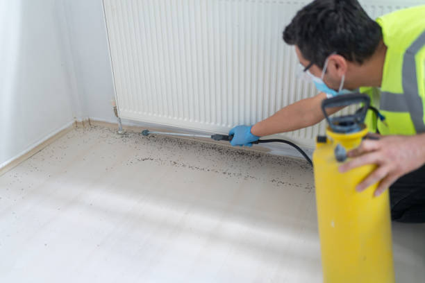 Best Local Pest Control Services  in Star Valley Ranch, WY