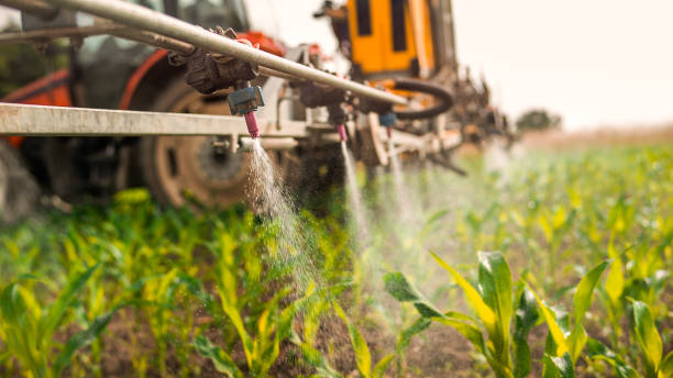 Best Commercial Pest Control Services  in Star Valley Ranch, WY